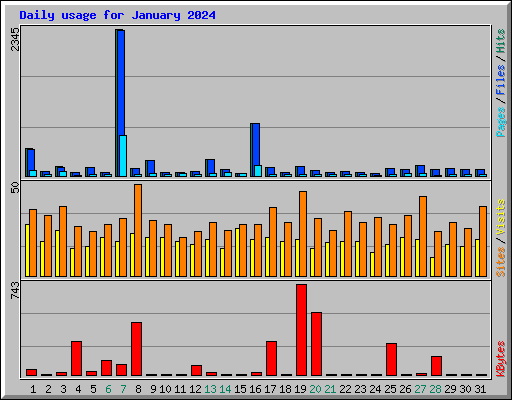 Daily usage for January 2024