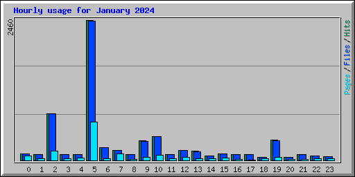 Hourly usage for January 2024