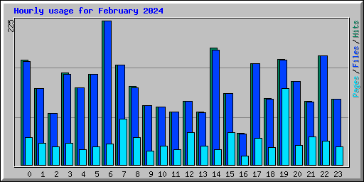 Hourly usage for February 2024