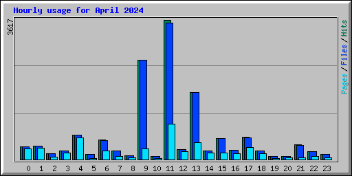 Hourly usage for April 2024