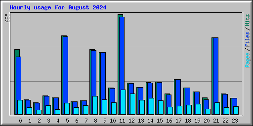 Hourly usage for August 2024