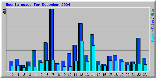 Hourly usage for December 2024