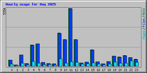 Hourly usage for May 2025