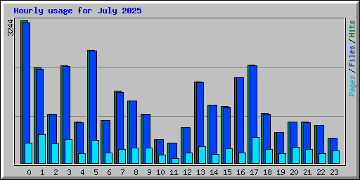Hourly usage for July 2025