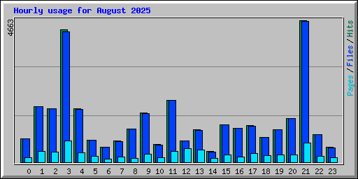 Hourly usage for August 2025