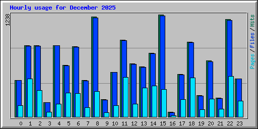 Hourly usage for December 2025