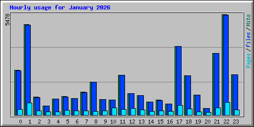 Hourly usage for January 2026